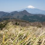 箱根の外輪山(金時山・明神ヶ岳・明星ヶ岳)でトレイルランをやってきた